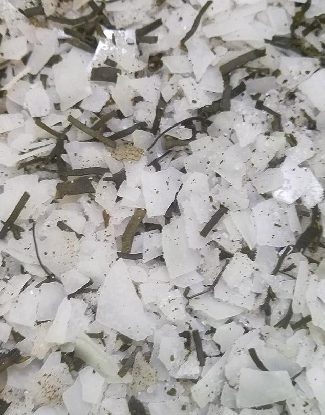 SEA MOSS DETOX Bath Tea Bag